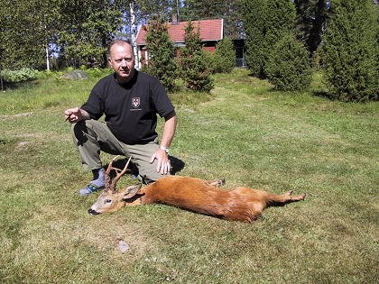 Buk fra Sverige.  Leif Nielsen 